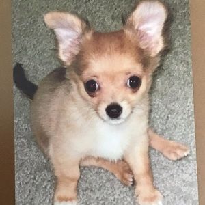 Meet your Posher, Stacey